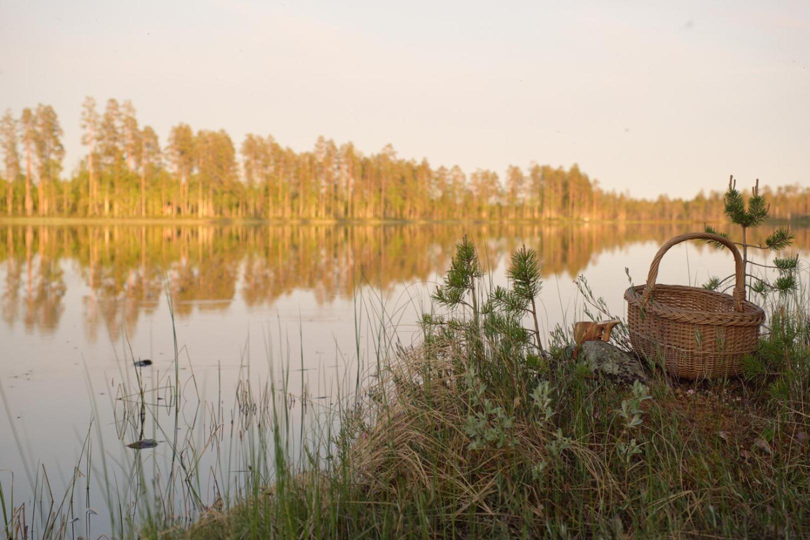 Отель Langforsen Glamping & Lapland Experience Lapptrask Экстерьер фото