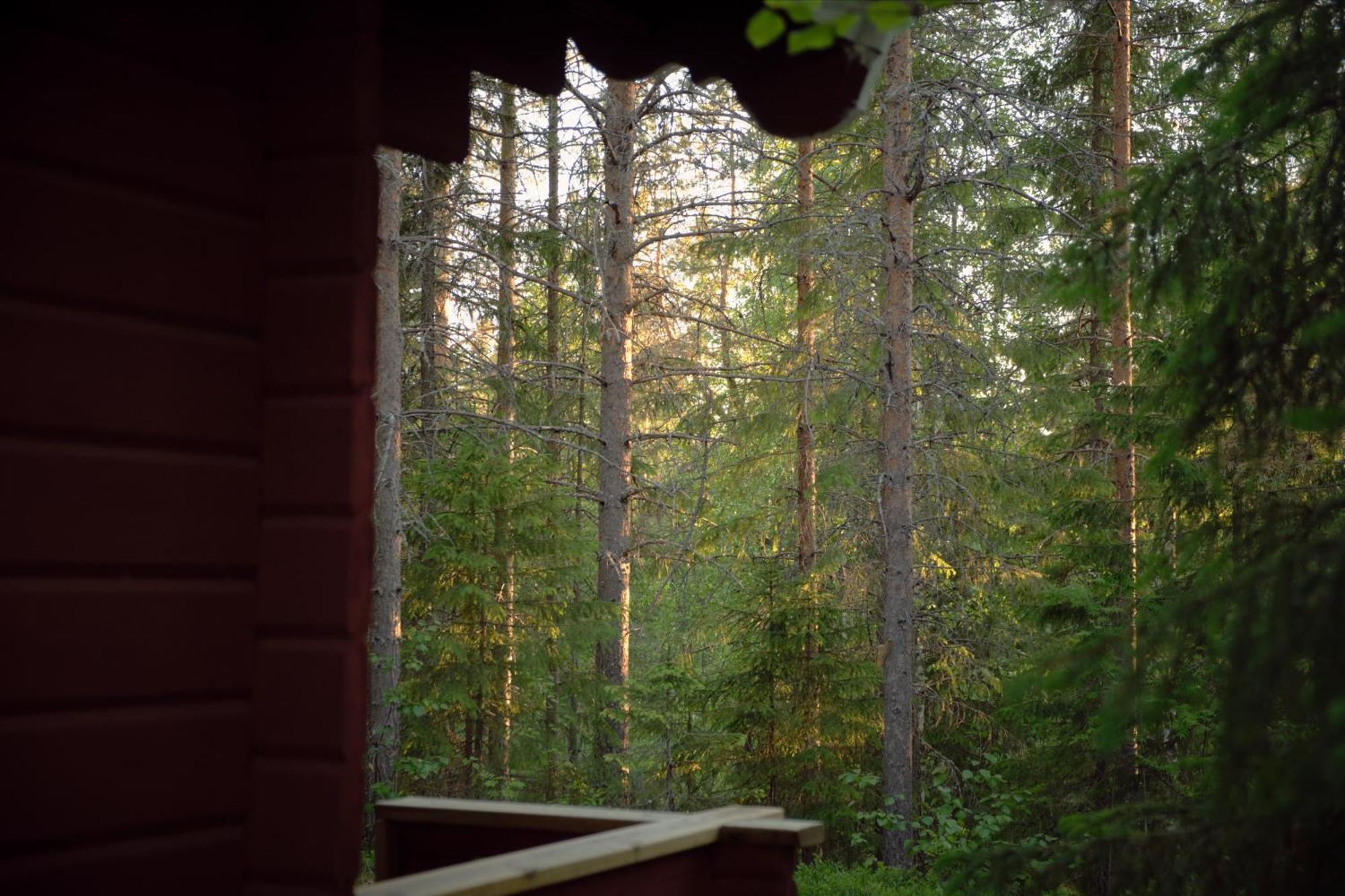 Отель Langforsen Glamping & Lapland Experience Lapptrask Экстерьер фото